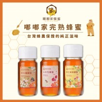 ｜嘟嘟家｜玉荷苞蜂蜜｜野生龍眼蜂蜜｜野生草本蜜｜優質大瓶裝3入組合+【獨家】再送精巧蜂蜜翅膀禮盒組乙組｜