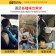 【MyAcore品好物】巨無霸可控溫 雙制冷/熱型 數位溫控車用行動冰箱 車用冰箱 24公升汽車迷你小冰箱(贈變壓器) 車載 露營 保鮮 車家兩用