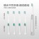 ｜Glolux｜智能超音波電動牙刷｜超級組｜附8支刷頭(基礎款x4+護齦款x4)｜