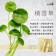 ｜LADIVA天后冰河凍齡金鉑面膜｜