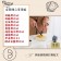 ｜甯記｜Besty特廚厚片吐司｜A.特廚超級回購組 B.甜蜜下午茶組 C.全家開心享用組｜每組13入｜三種組合任君挑選｜冷凍